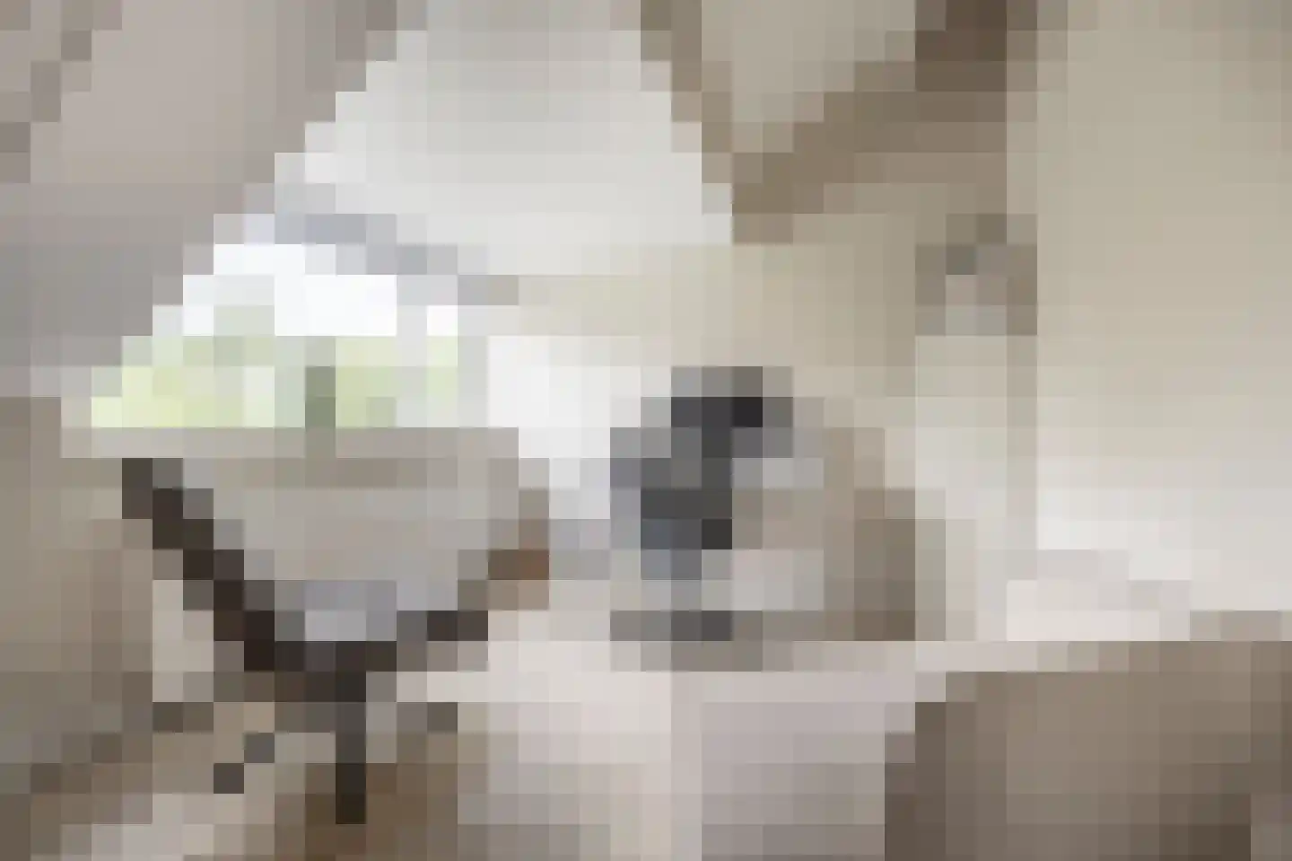 Raadhuislaan 59 Mijnsheerenland thumbnail 36