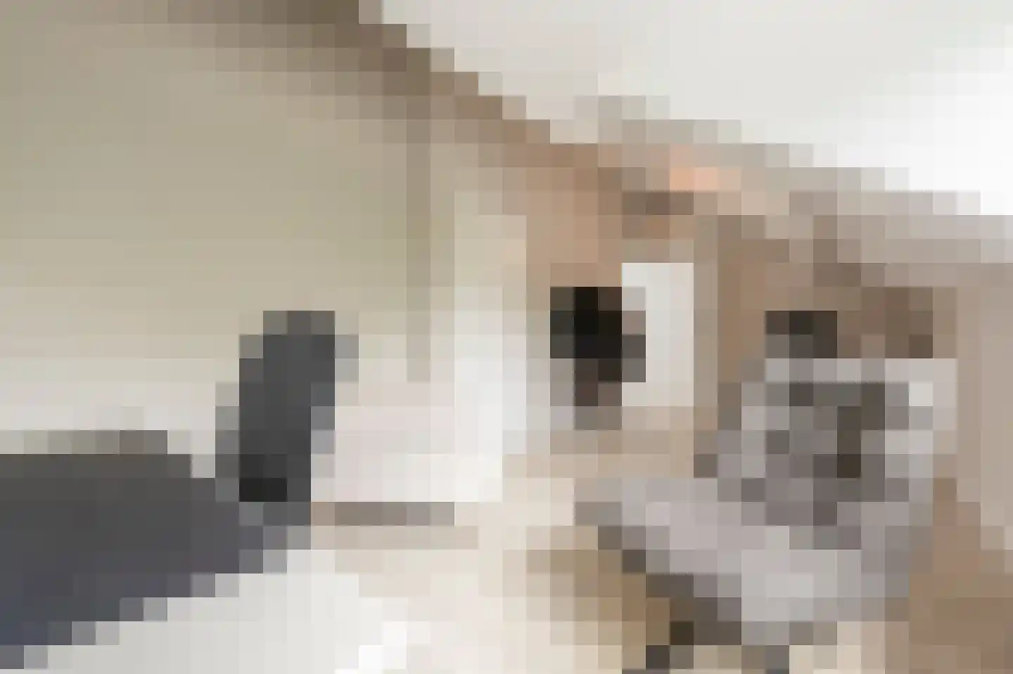 Raadhuislaan 59 Mijnsheerenland thumbnail 37