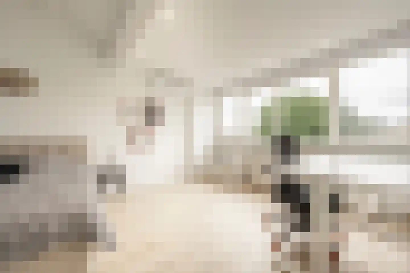 Raadhuislaan 59 Mijnsheerenland thumbnail 39