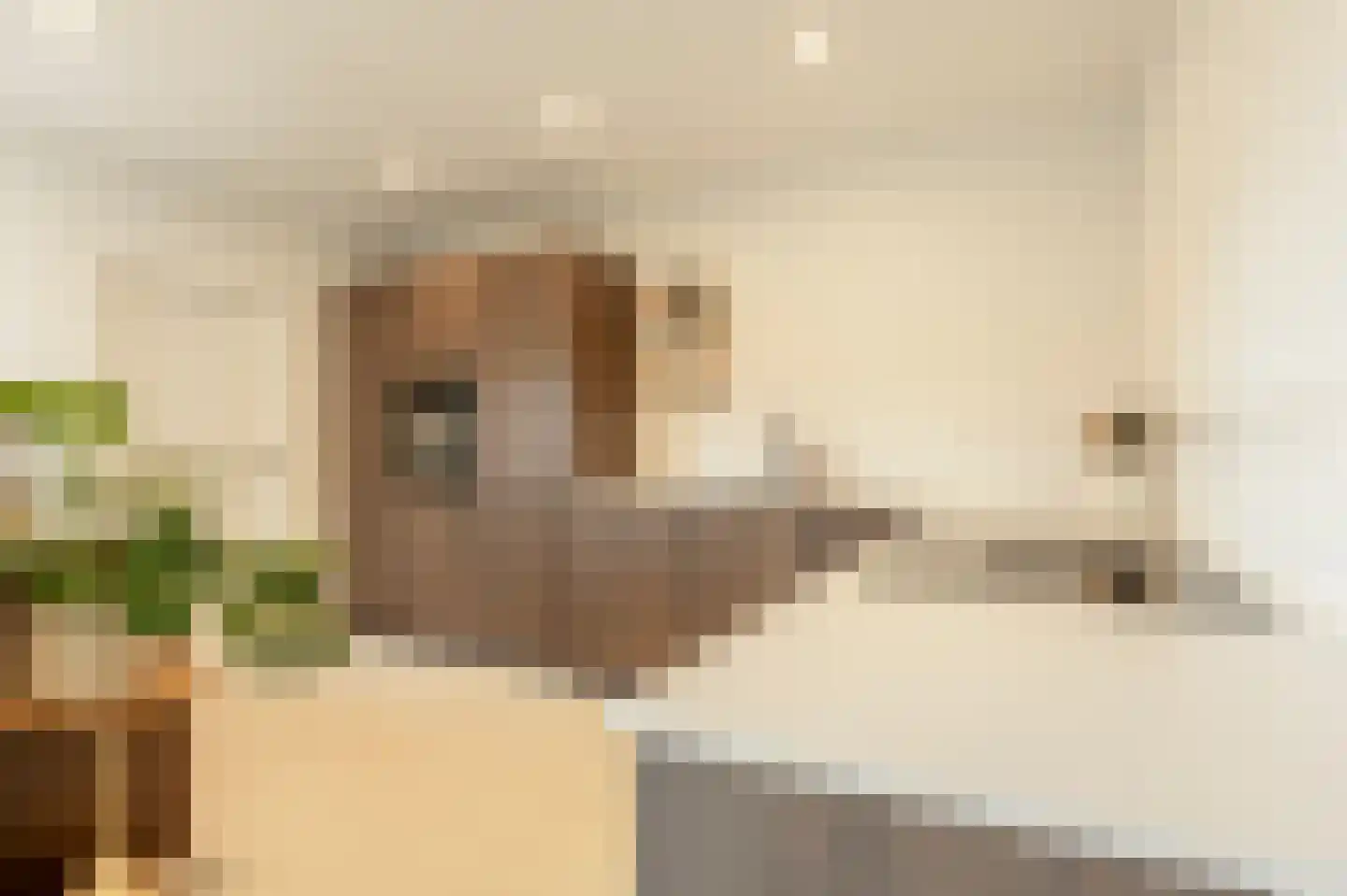 Raadhuislaan 59 Mijnsheerenland thumbnail 4