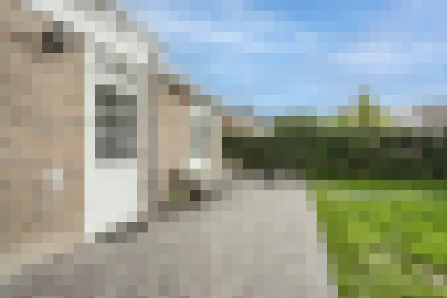 Raadhuislaan 59 Mijnsheerenland thumbnail 44