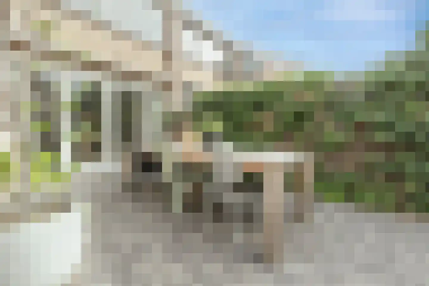 Raadhuislaan 59 Mijnsheerenland thumbnail 47