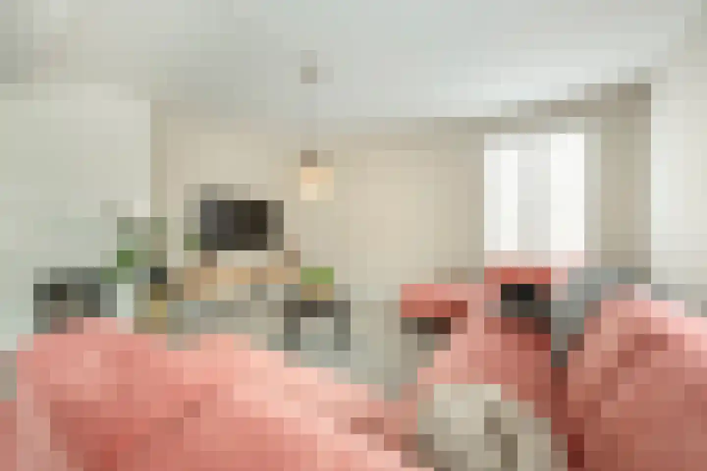 Raadhuislaan 59 Mijnsheerenland thumbnail 6