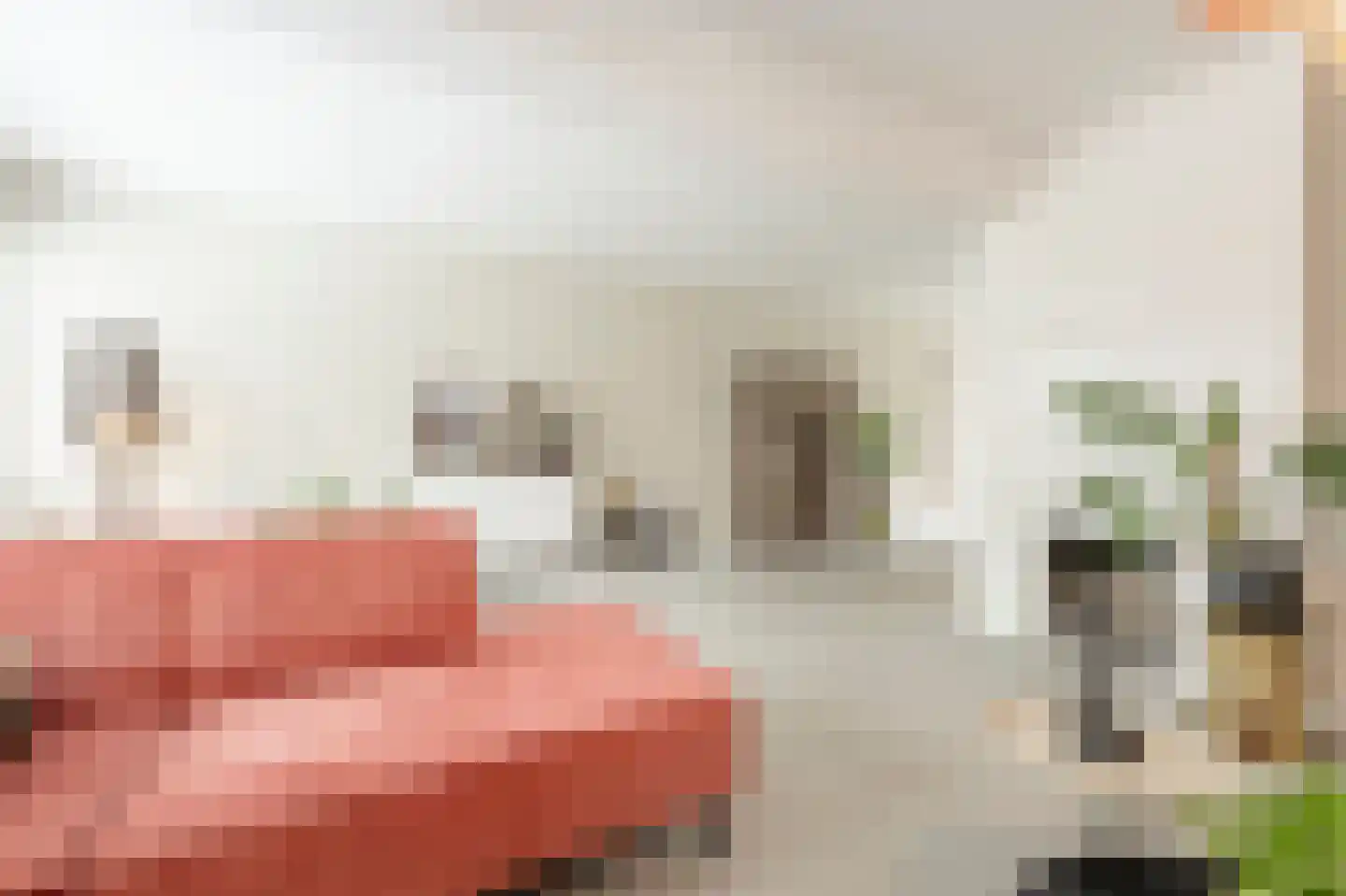Raadhuislaan 59 Mijnsheerenland thumbnail 9