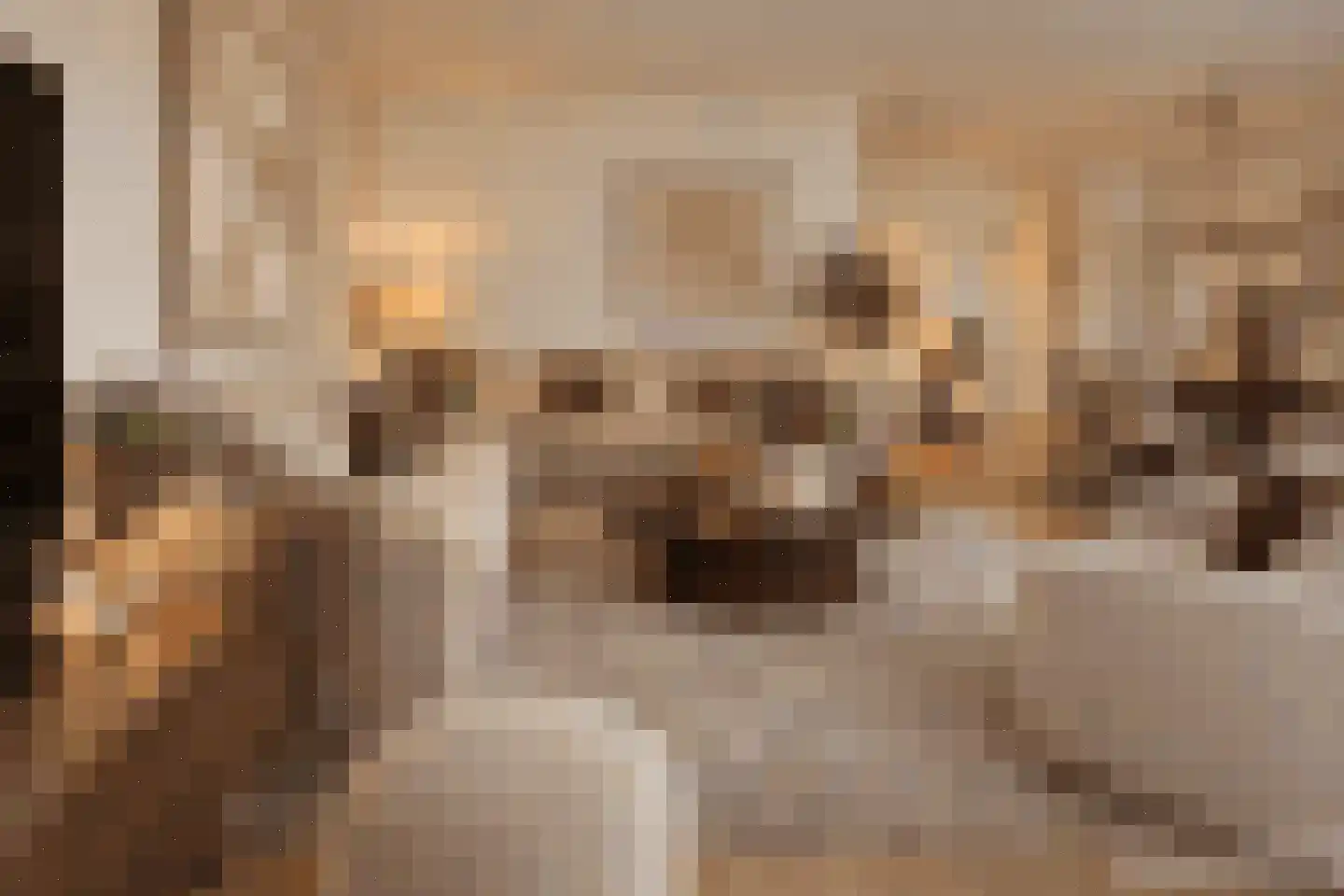 Raadhuislaan 61 Oss thumbnail 10