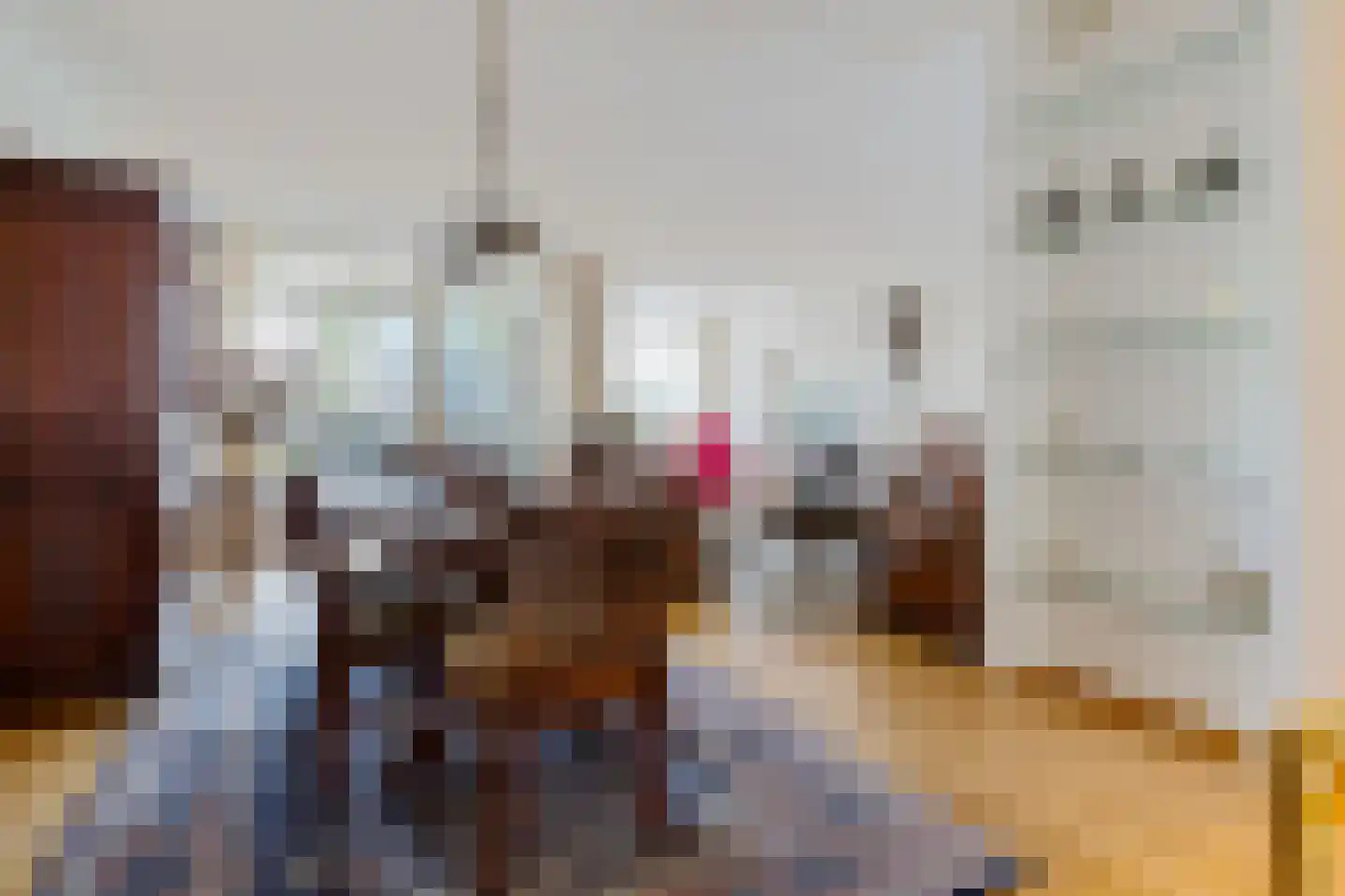 Raadhuislaan 61 Oss thumbnail 14