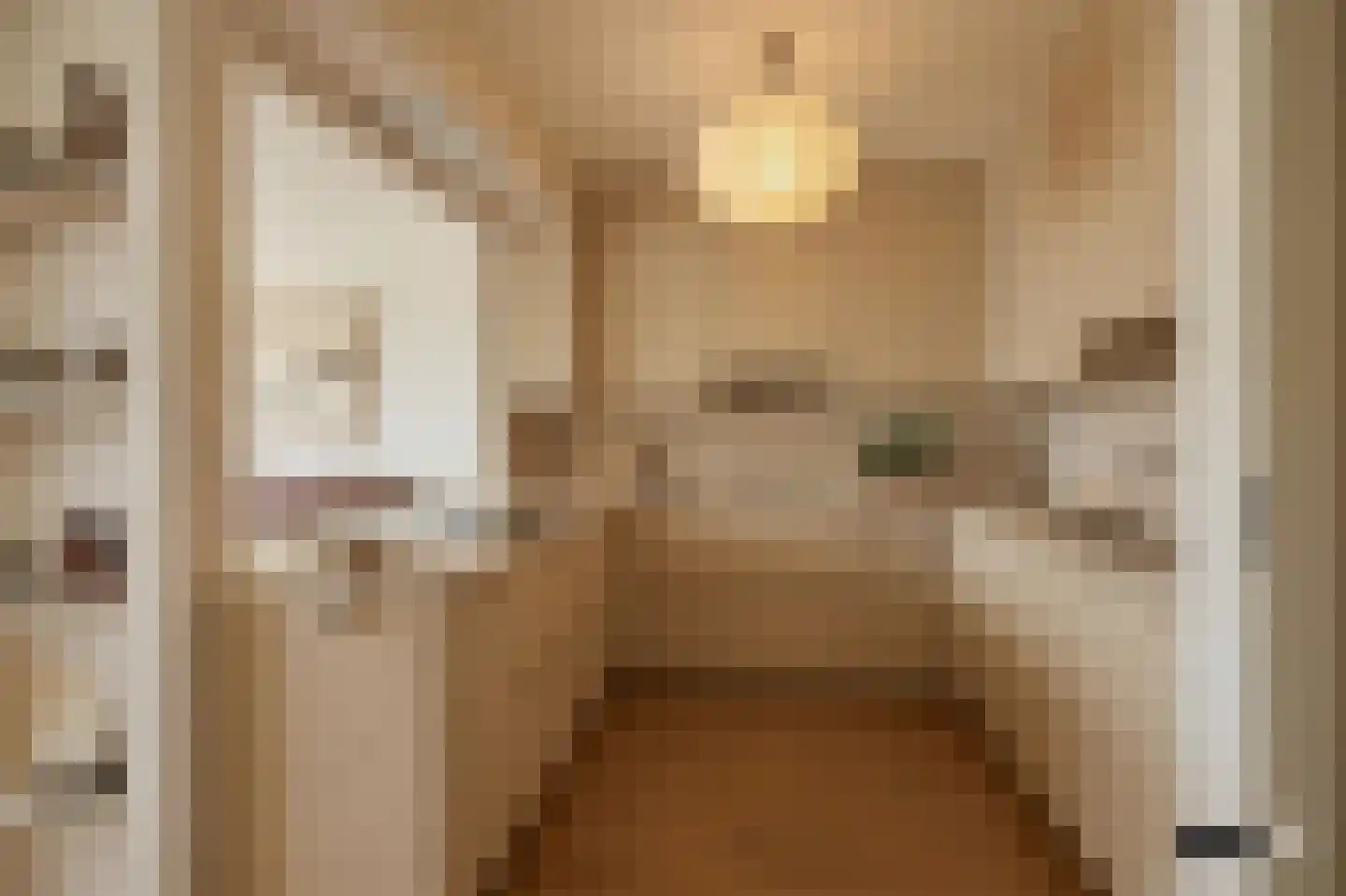 Raadhuislaan 61 Oss thumbnail 21