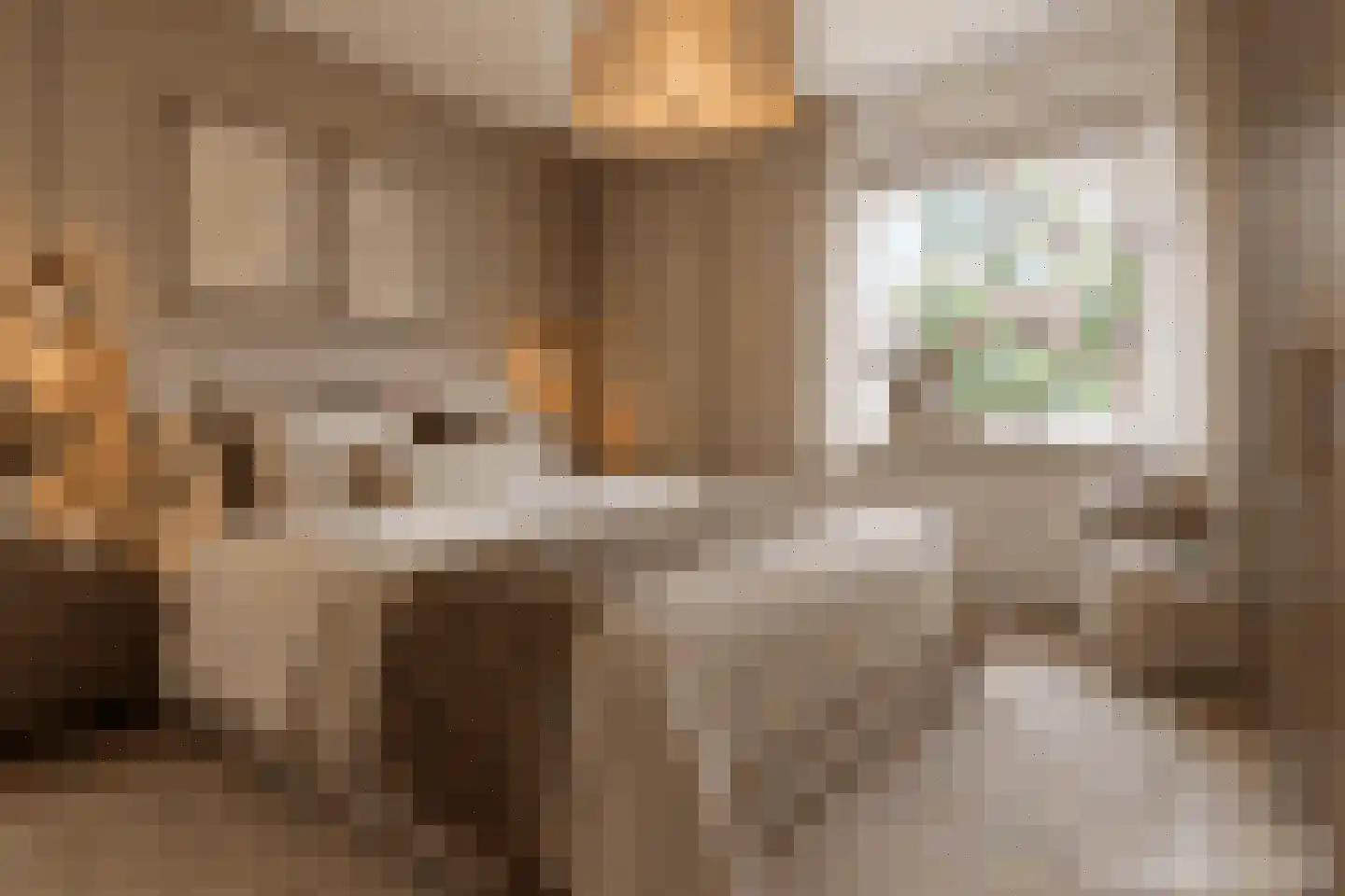 Raadhuislaan 61 Oss thumbnail 22
