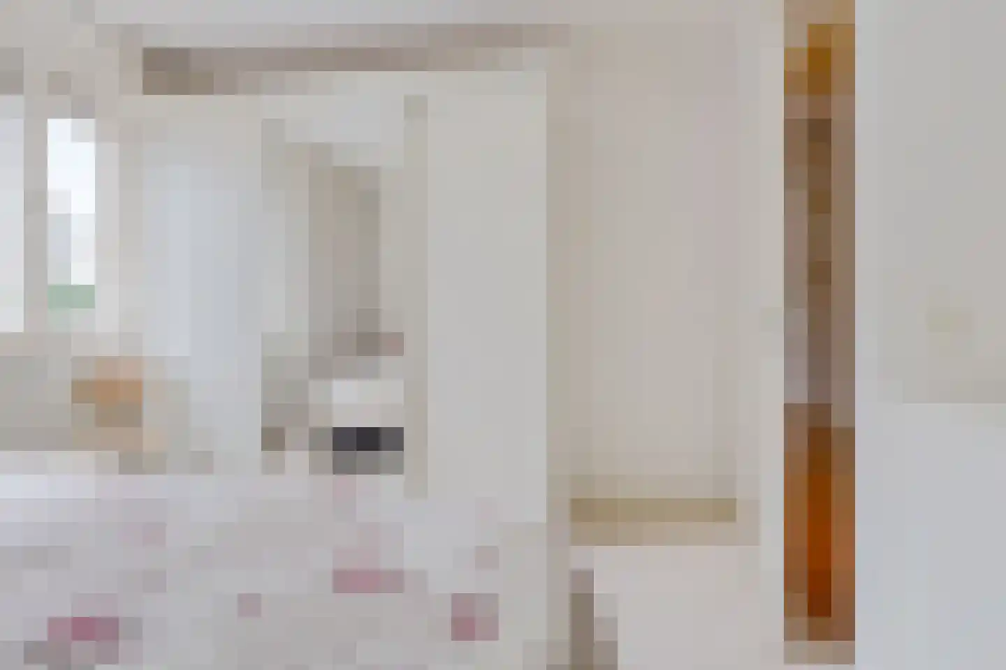 Raadhuislaan 61 Oss thumbnail 23