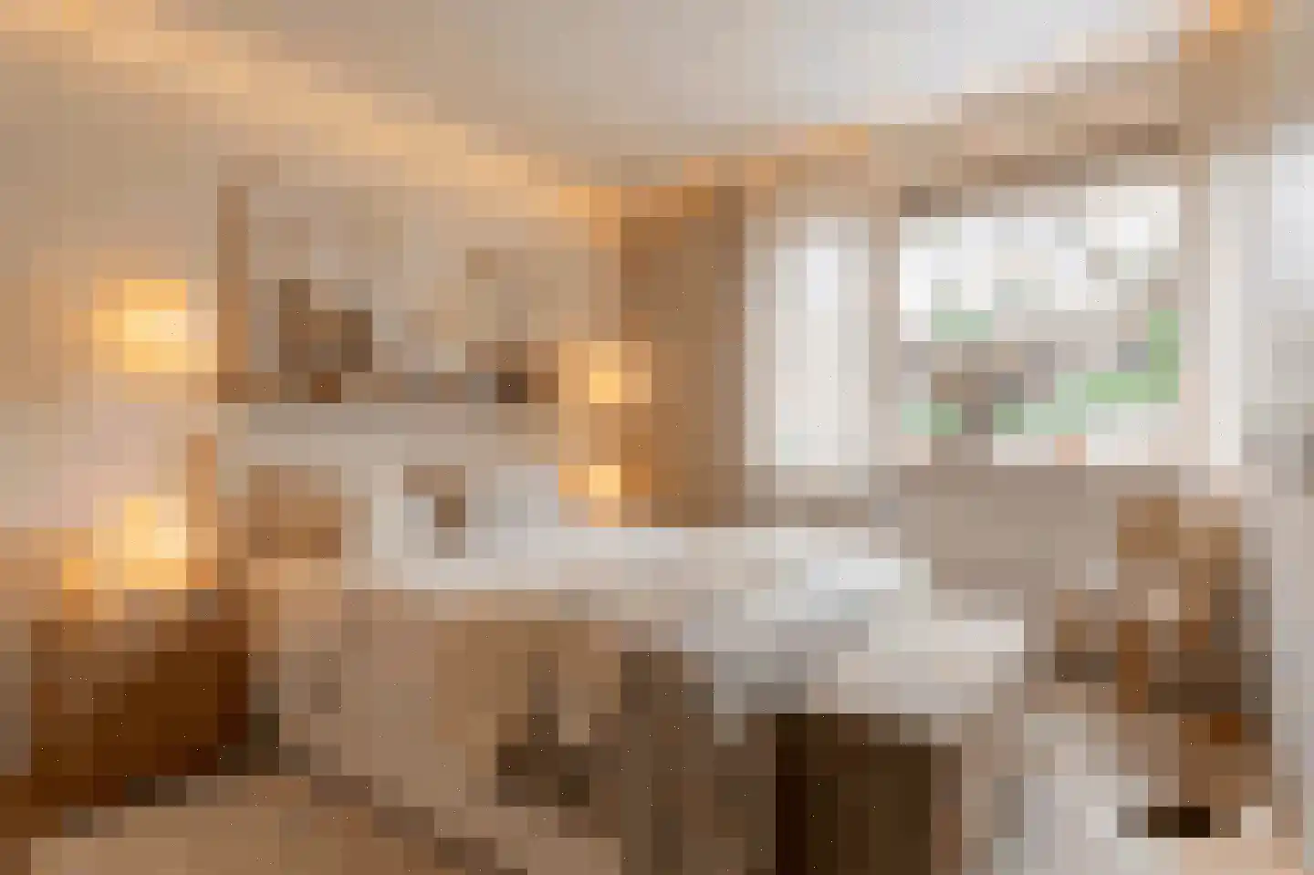 Raadhuislaan 61 Oss thumbnail 26