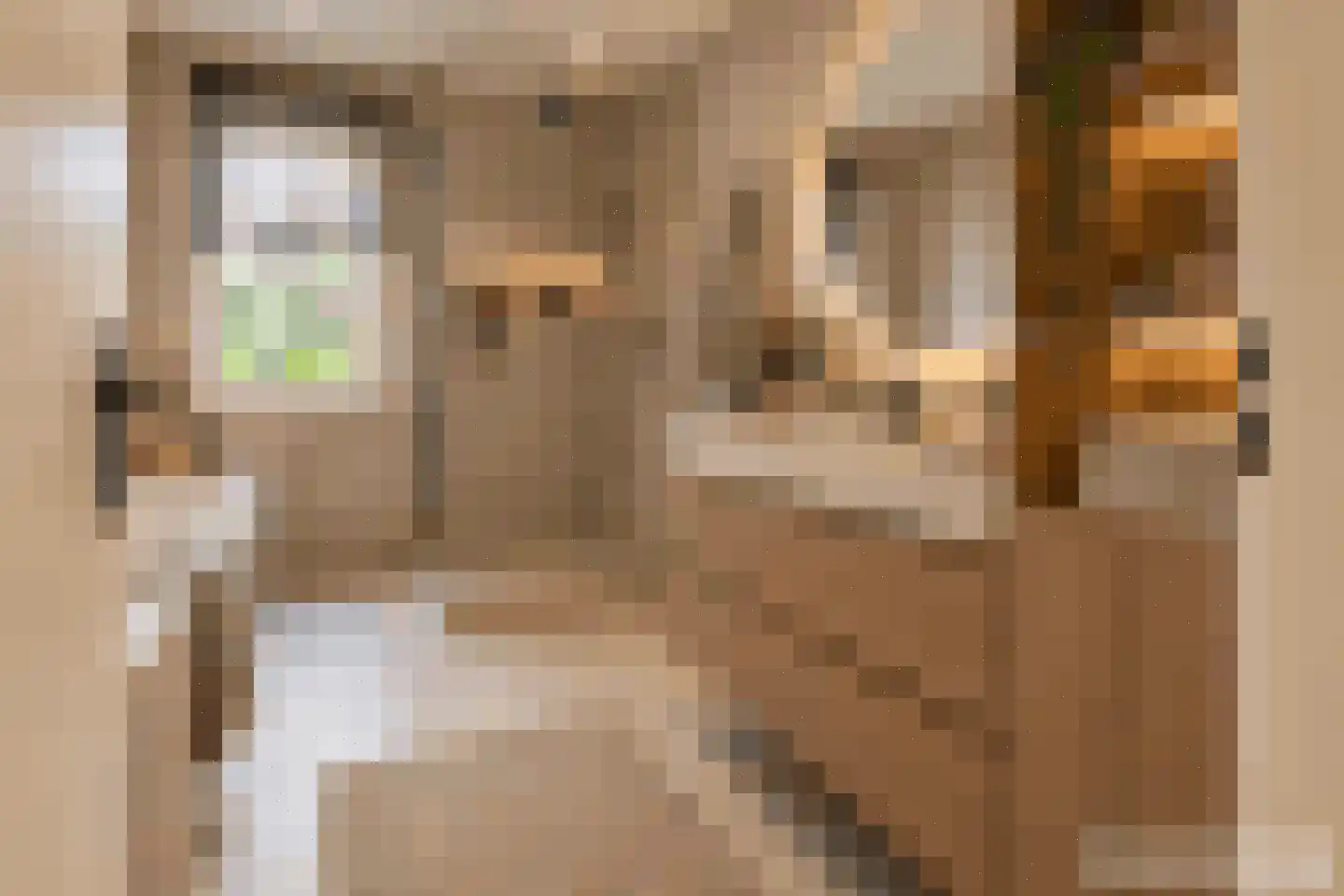 Raadhuislaan 61 Oss thumbnail 26