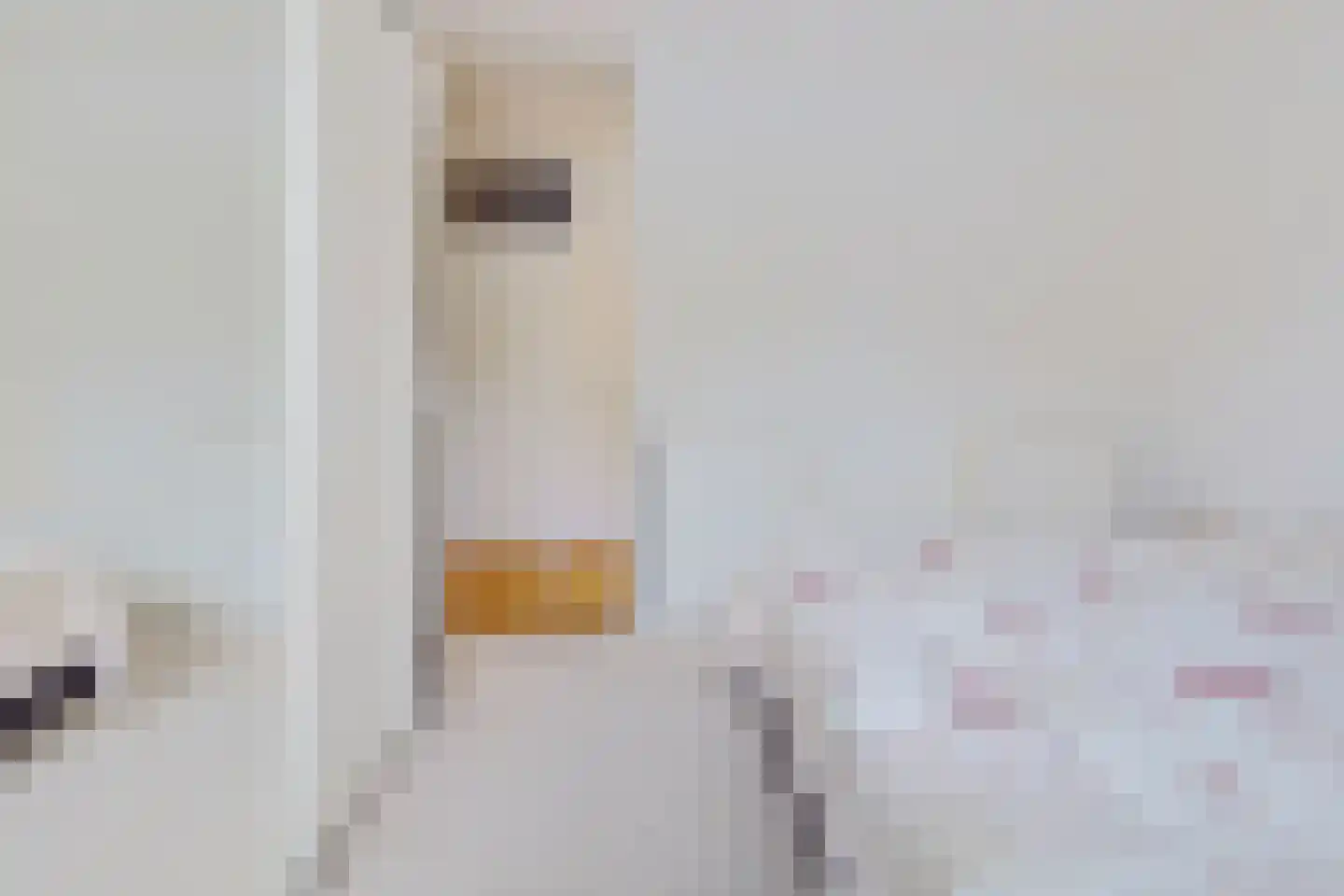 Raadhuislaan 61 Oss thumbnail 28