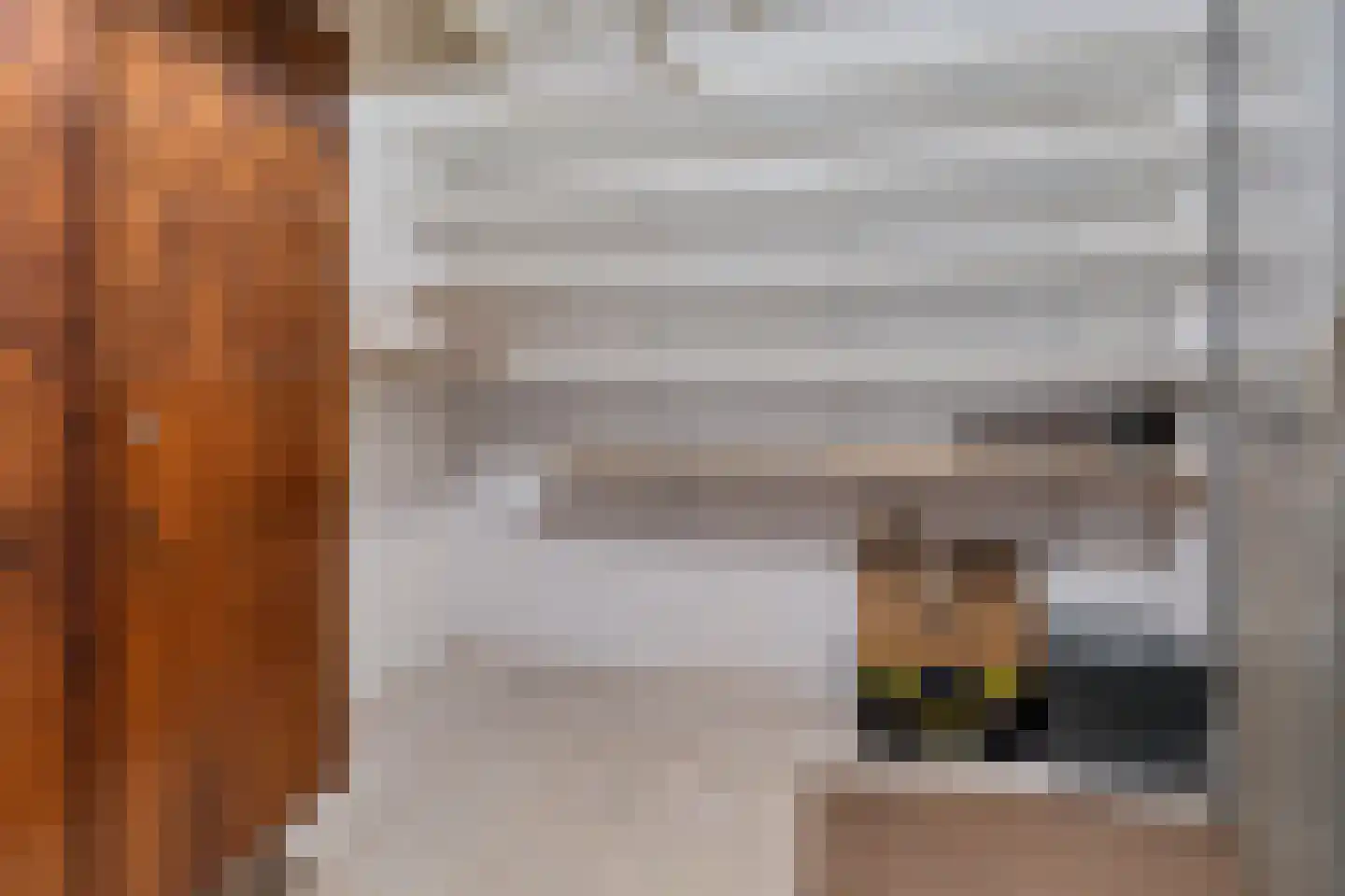 Raadhuislaan 61 Oss thumbnail 33