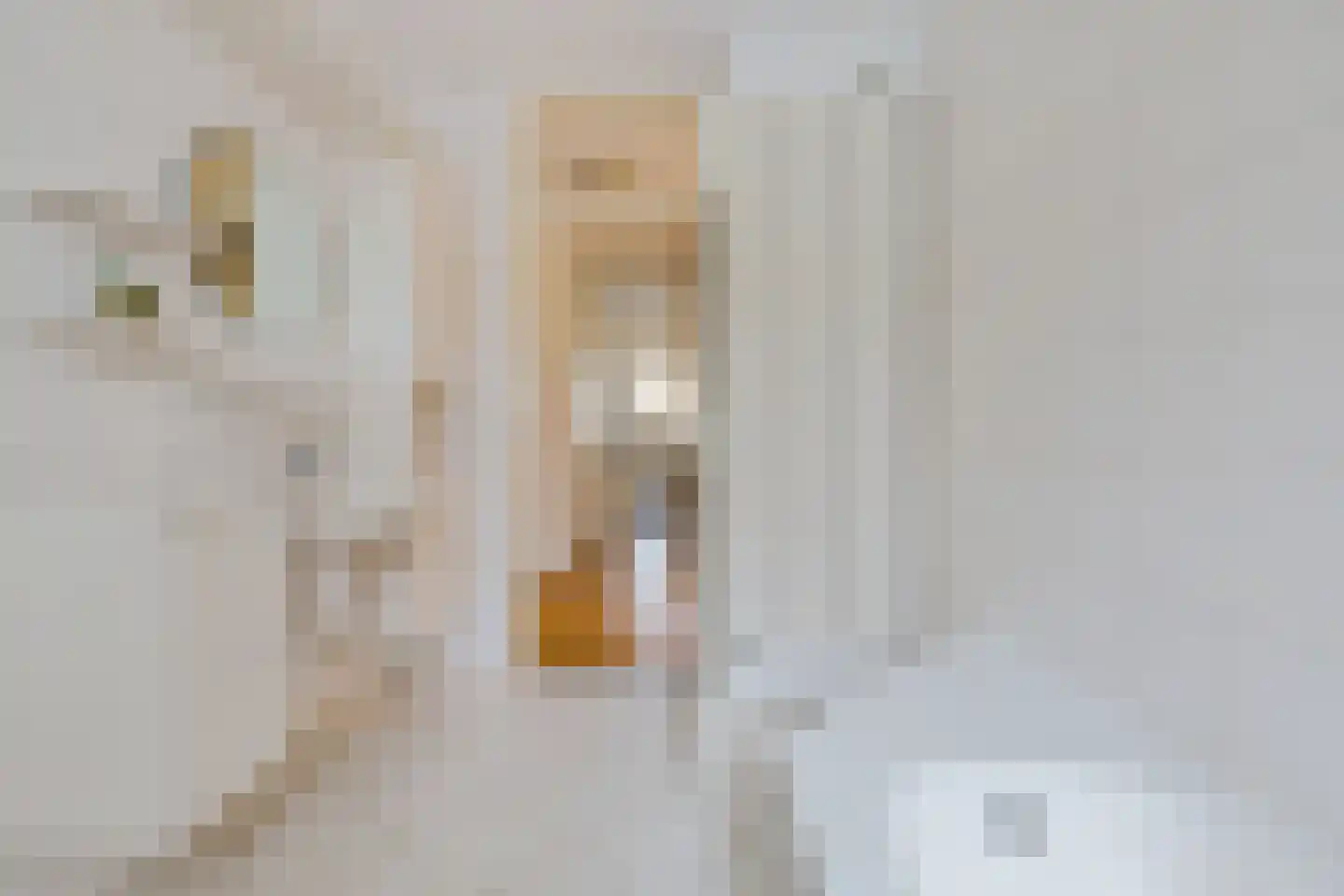 Raadhuislaan 61 Oss thumbnail 35