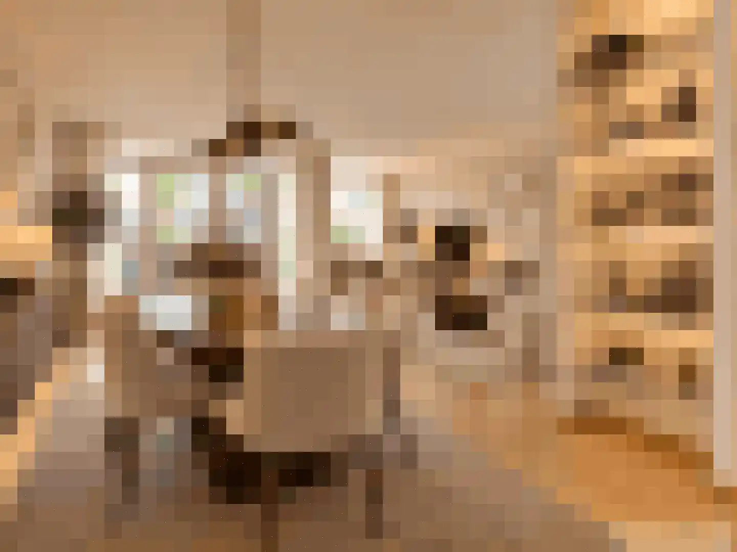 Raadhuislaan 61 Oss thumbnail 4