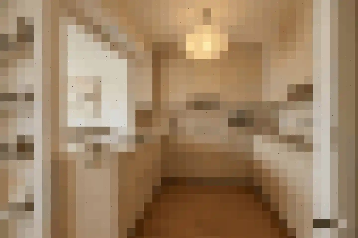 Raadhuislaan 61 Oss thumbnail 4