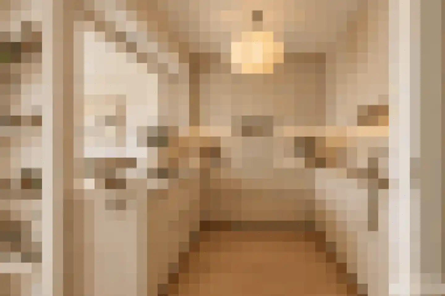 Raadhuislaan 61 Oss thumbnail 5