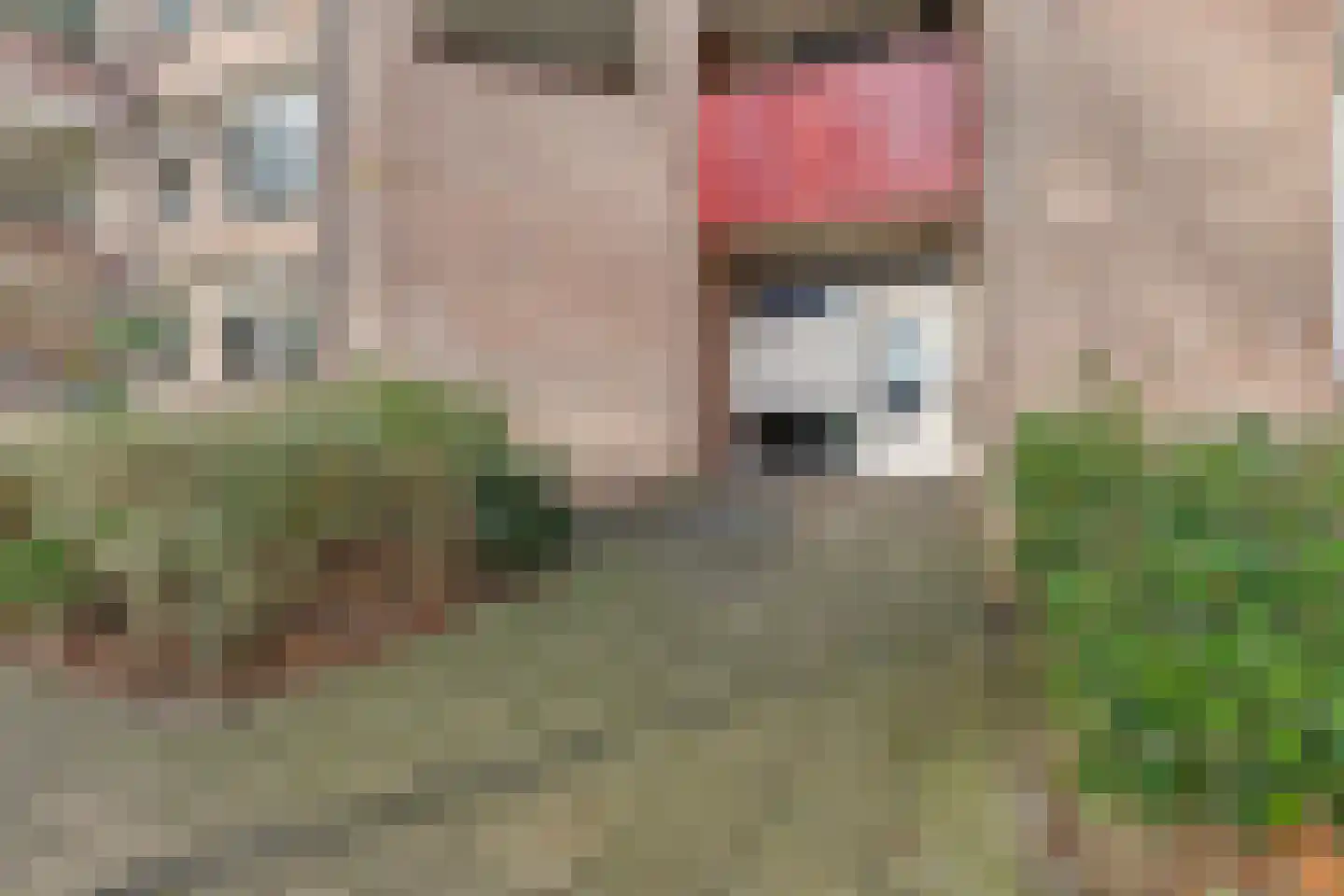 Raadhuislaan 61 Oss thumbnail 8