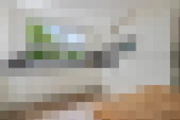 Raadhuislaan 67 Diever thumbnail 13