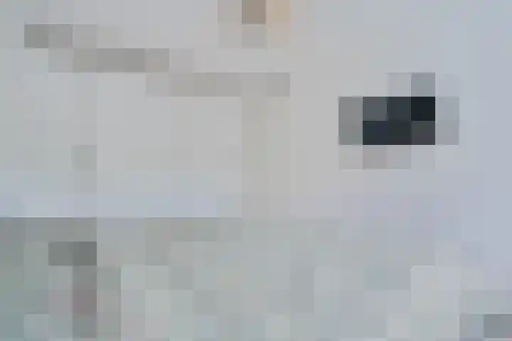 Raadhuislaan 67 Diever thumbnail 20