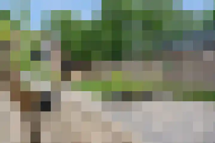 Raadhuislaan 67 Diever thumbnail 30