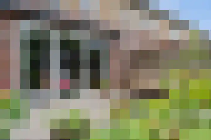 Raadhuislaan 67 Diever thumbnail 33