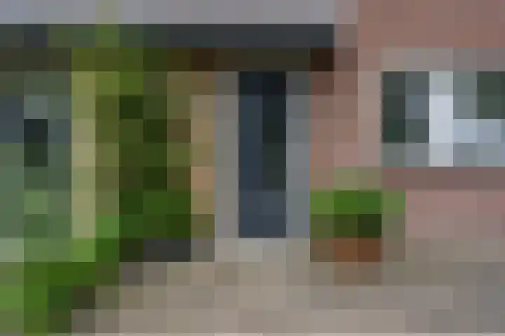 Raadhuislaan 67 Diever thumbnail 34