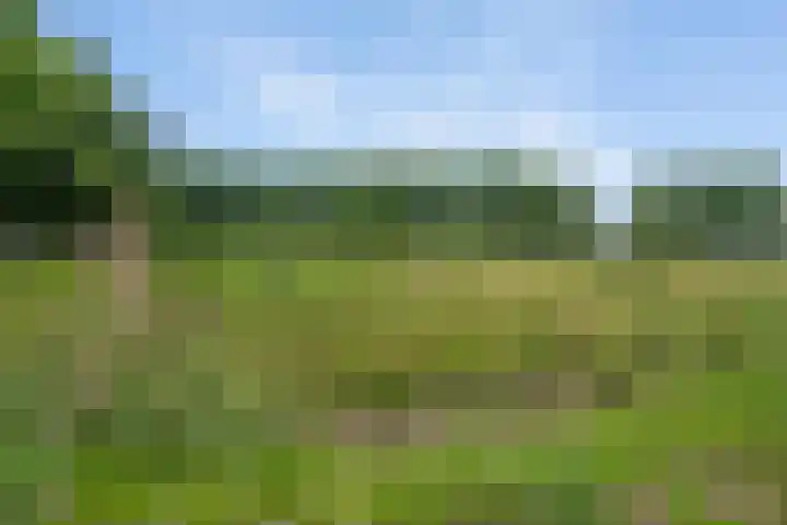 Raadhuislaan 67 Diever thumbnail 38