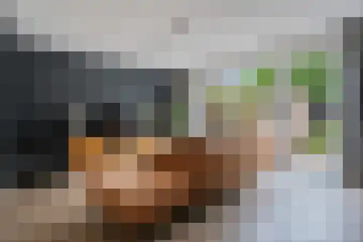 Raadhuislaan 67 Diever thumbnail 5