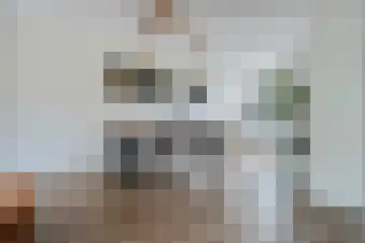 Raadhuislaan 67 Diever thumbnail 9