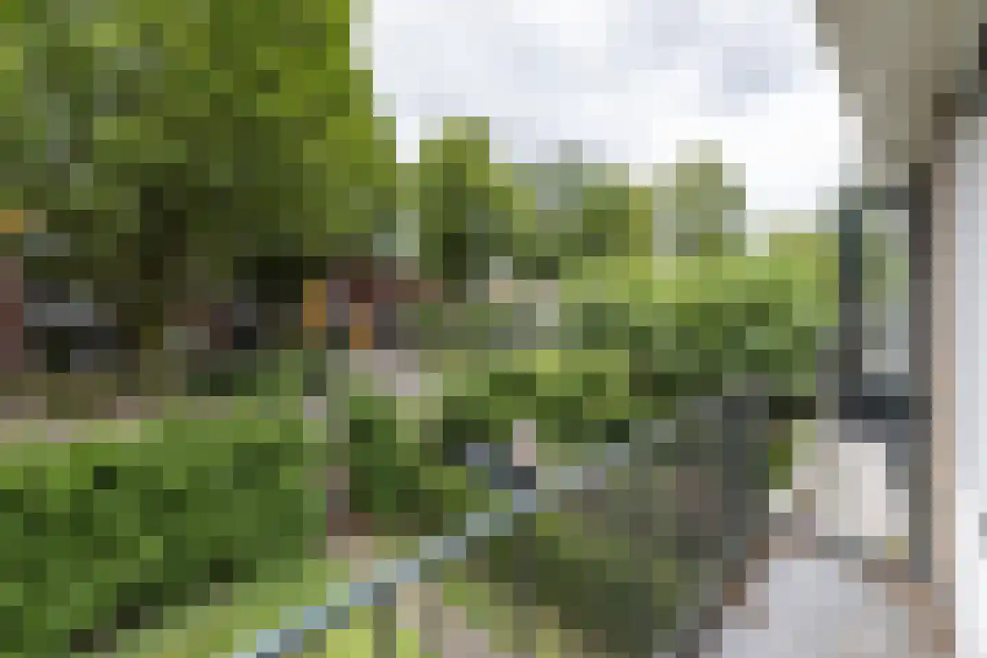 Raadhuislaan 68 Eemnes thumbnail 21