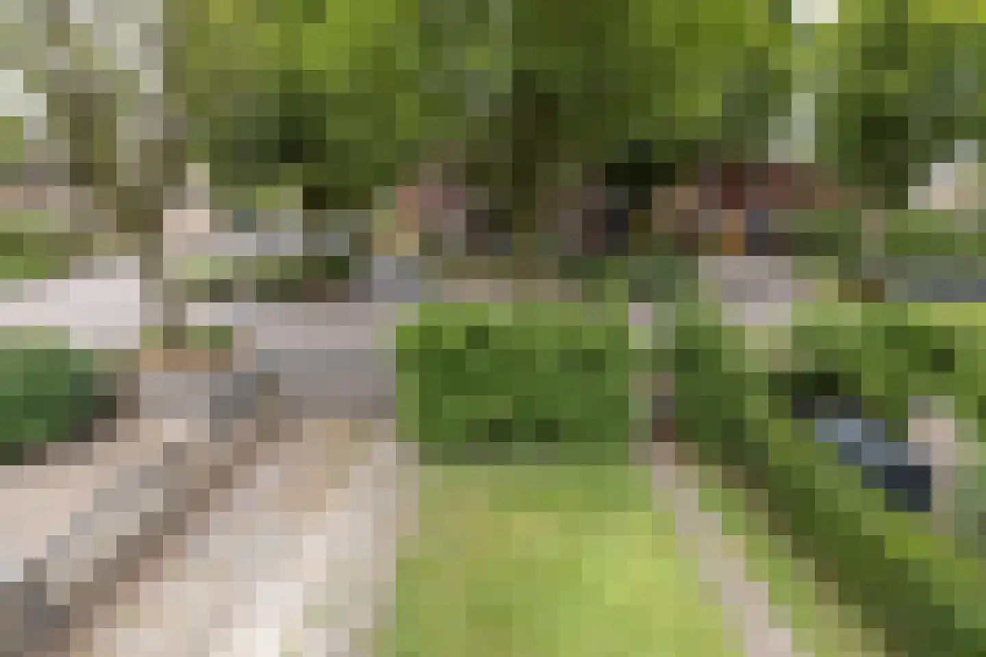 Raadhuislaan 68 Eemnes thumbnail 22