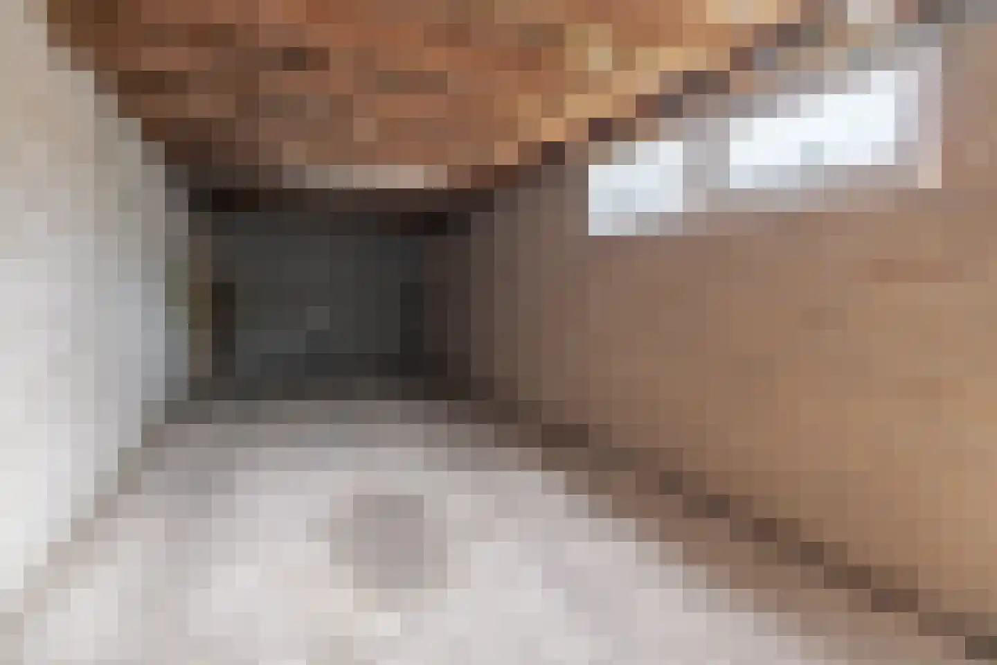 Raadhuislaan 68 Eemnes thumbnail 34