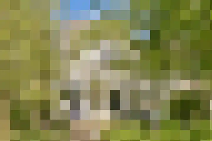 Raadhuislaan 7 Abcoude thumbnail 18