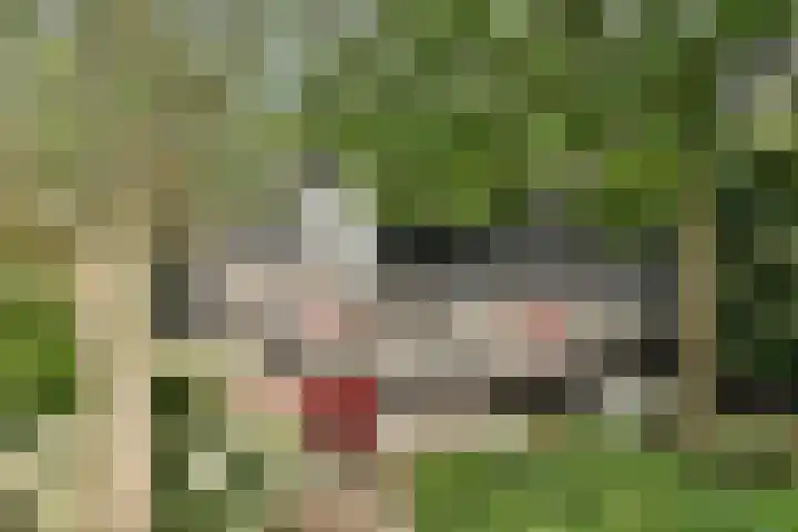Raadhuislaan 7 Abcoude thumbnail 22