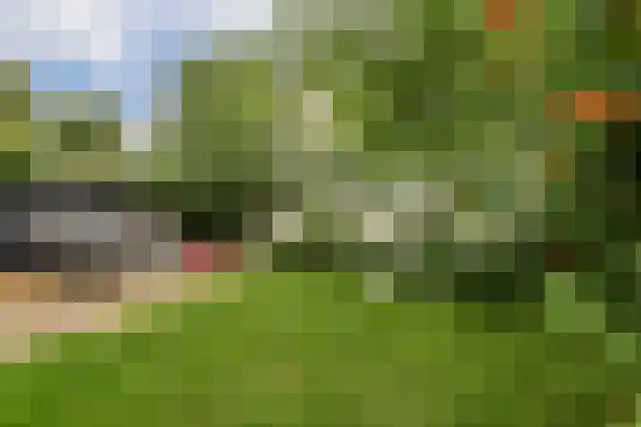 Raadhuislaan 7 Abcoude thumbnail 24