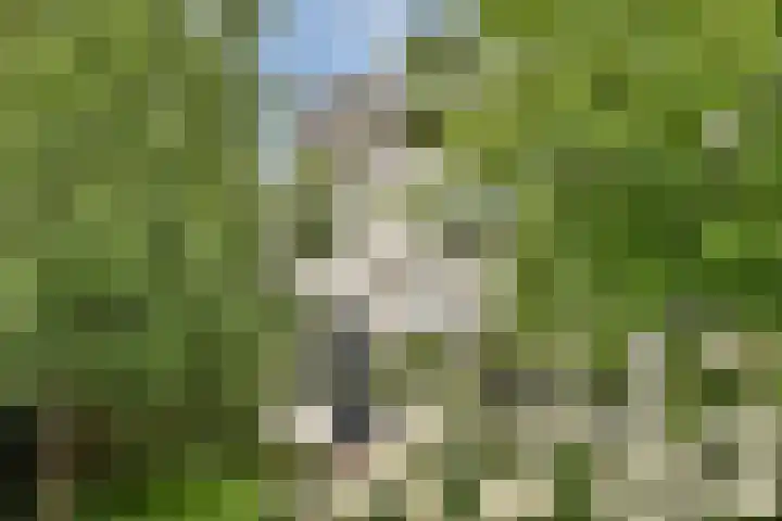 Raadhuislaan 7 Abcoude thumbnail 25