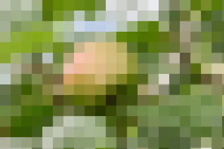 Raadhuislaan 7 Abcoude thumbnail 26