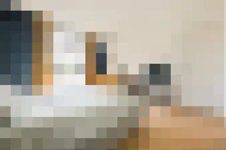 Raadhuislaan 7 Abcoude thumbnail 27