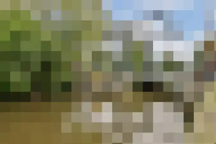 Raadhuislaan 7 Abcoude thumbnail 47