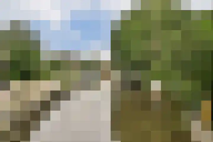 Raadhuislaan 7 Abcoude thumbnail 48