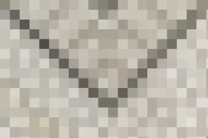 Raadhuislaan 7 Abcoude thumbnail 5