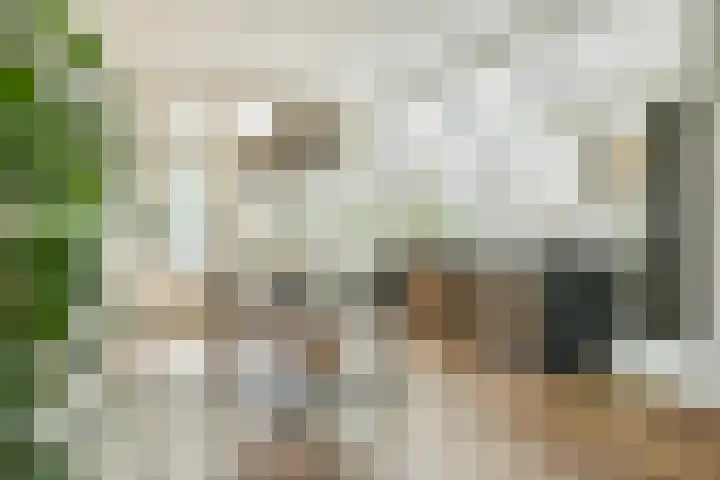 Raadhuislaan 7 Abcoude thumbnail 9