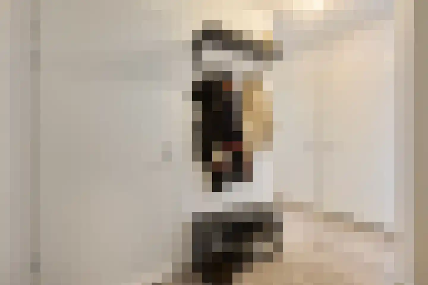 Raadhuislaan 7 H Oss thumbnail 11