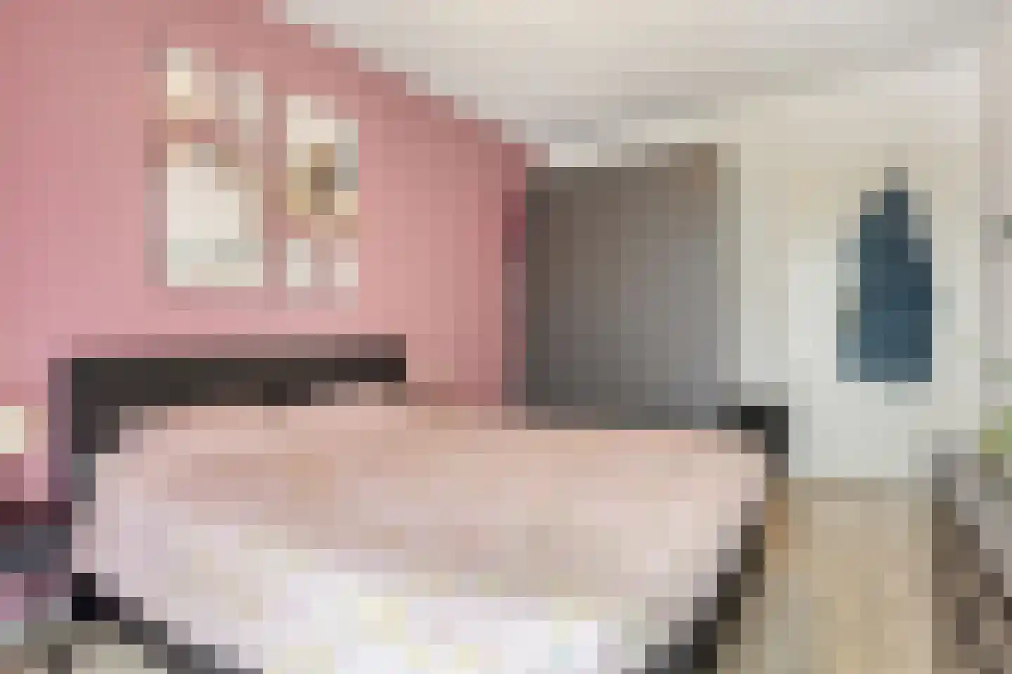 Raadhuislaan 7 H Oss thumbnail 13