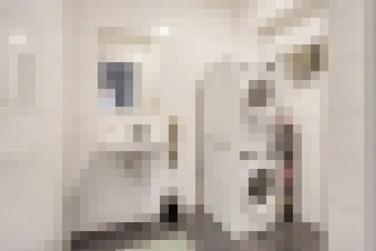 Raadhuislaan 7 H Oss thumbnail 15