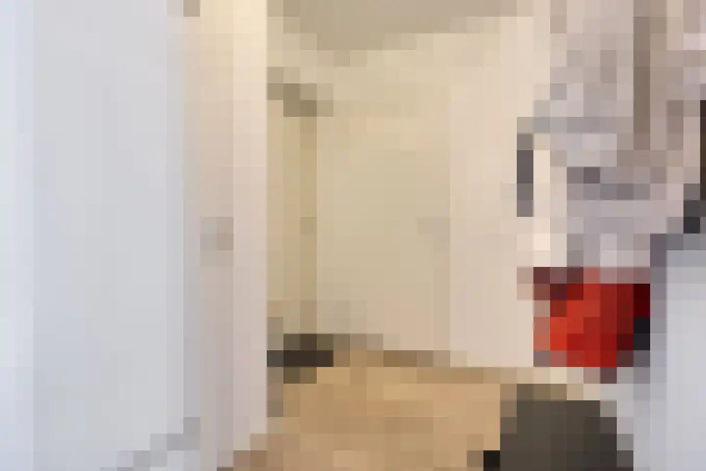 Raadhuislaan 7 H Oss thumbnail 16