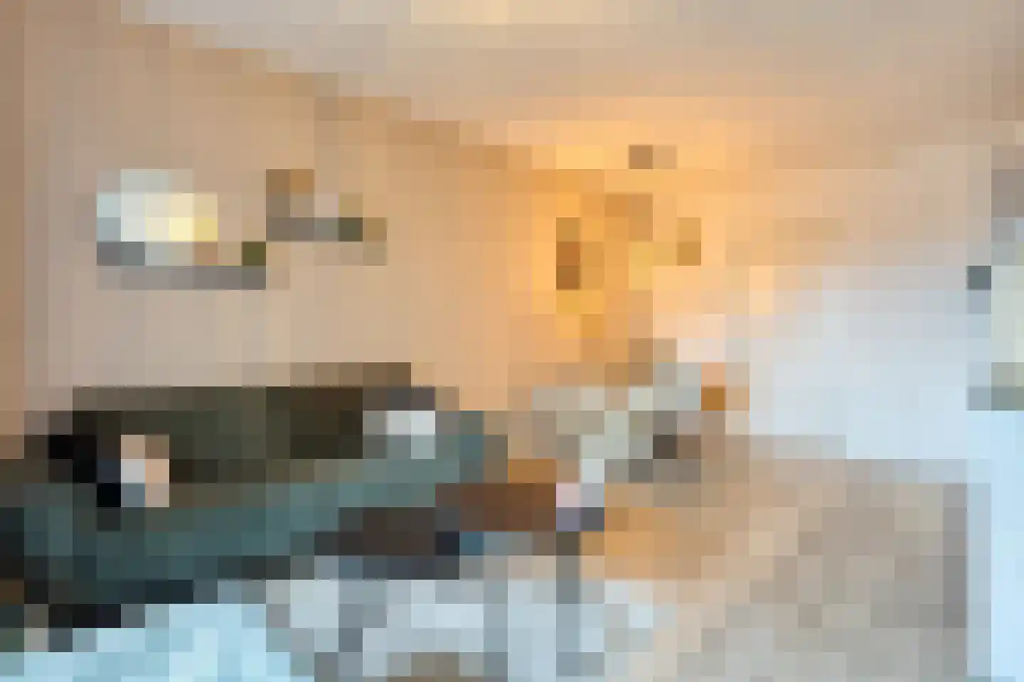 Raadhuislaan 7 H Oss thumbnail 4
