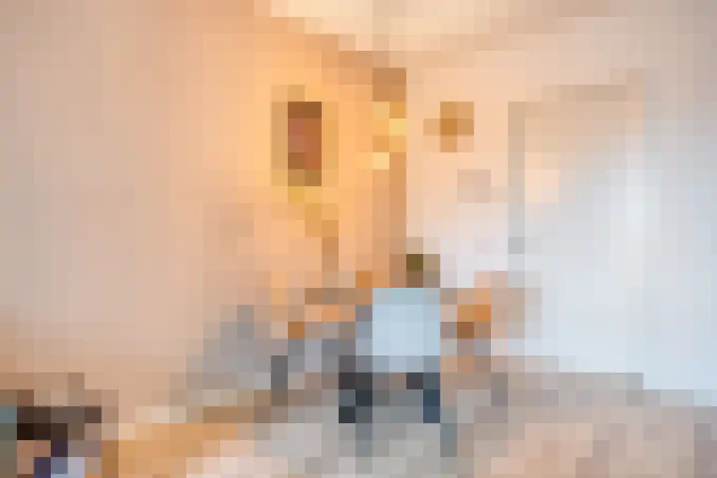 Raadhuislaan 7 H Oss thumbnail 6