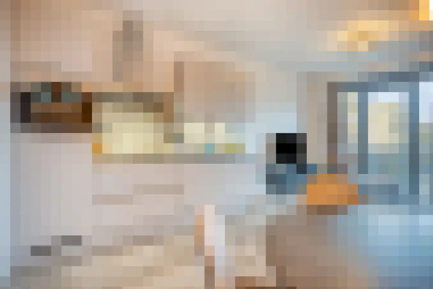 Raadhuislaan 7 H Oss thumbnail 8